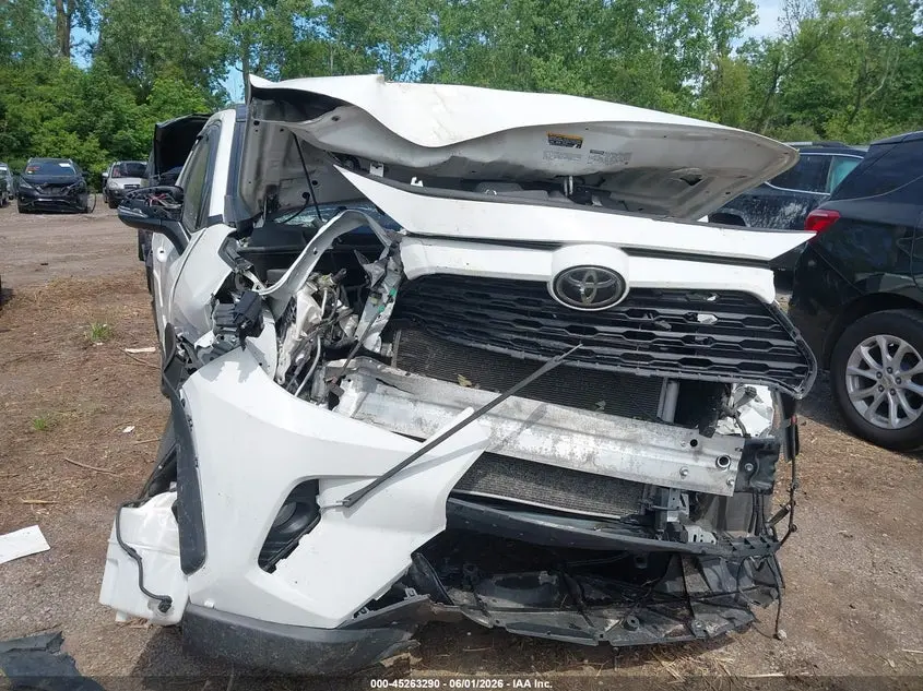 2019 TOYOTA RAV4 XLE