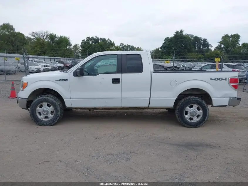 2013 FORD F-150 XLT
