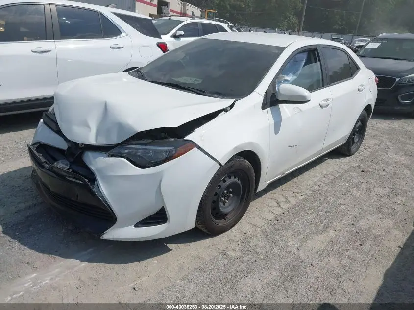 2019 TOYOTA COROLLA LE