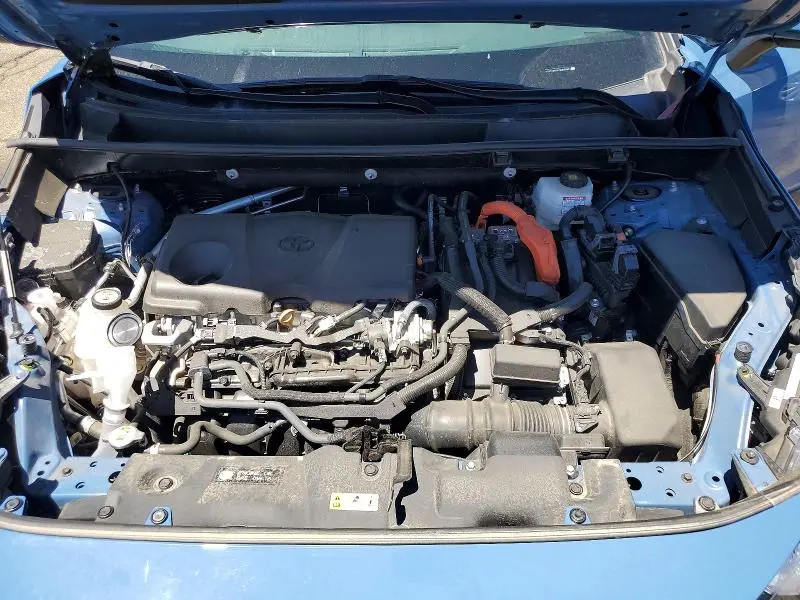 2024 TOYOTA RAV4 SE  