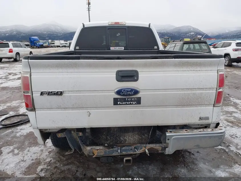 2010 FORD F-150 FX4/HARLEY-DAVIDSON/KING RANCH/LARIAT/PLATINUM/XL/XLT