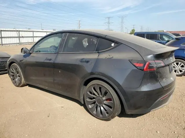 2025 TESLA MODEL Y   