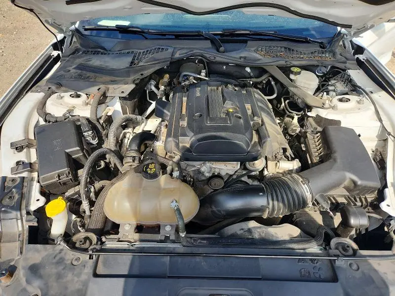 2019 FORD MUSTANG   