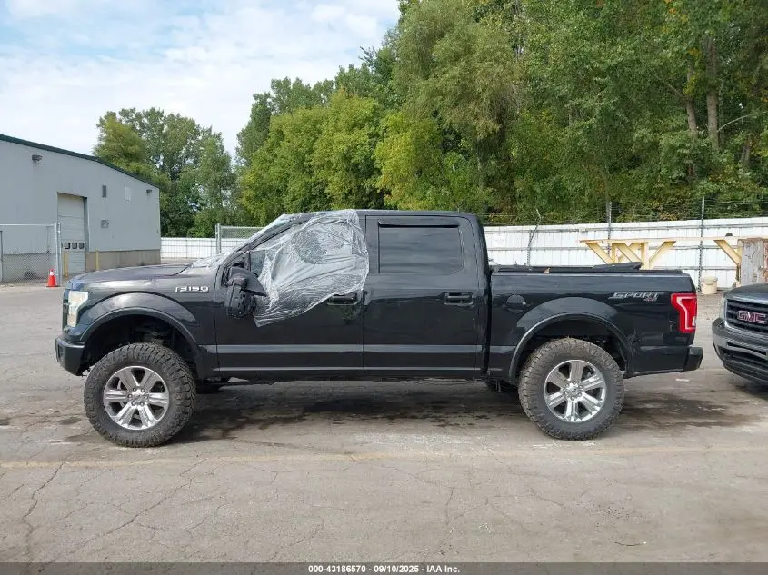 2015 FORD F-150 XLT