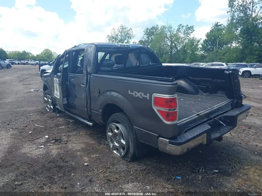 2014 FORD F-150 XLT