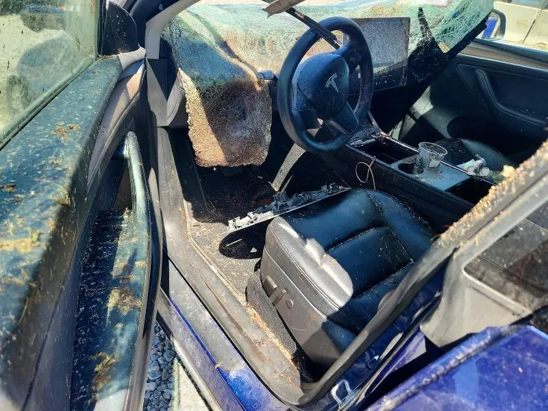 2024 TESLA MODEL Y   