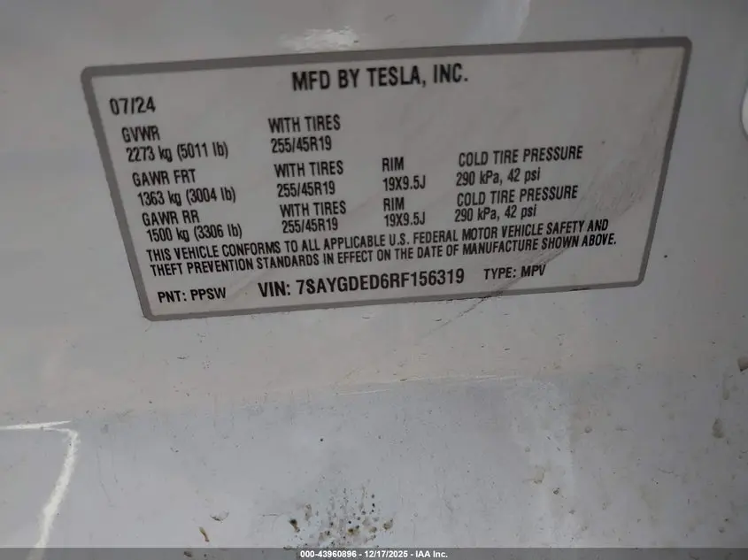 2024 TESLA MODEL Y RWD