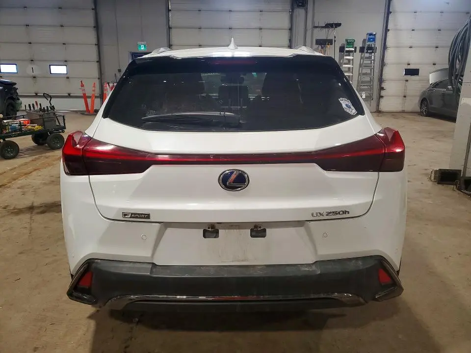 2020 LEXUS UX 250H F SPORT  