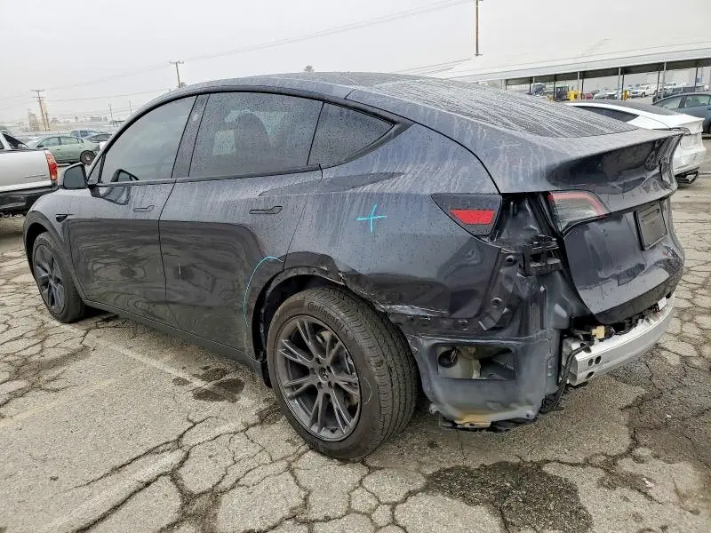 2024 TESLA MODEL Y   