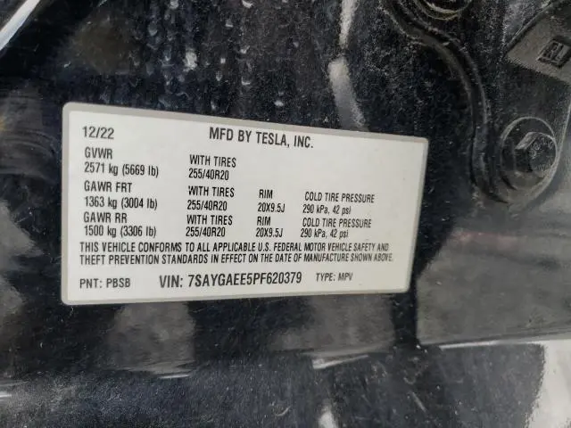 2023 TESLA MODEL Y   