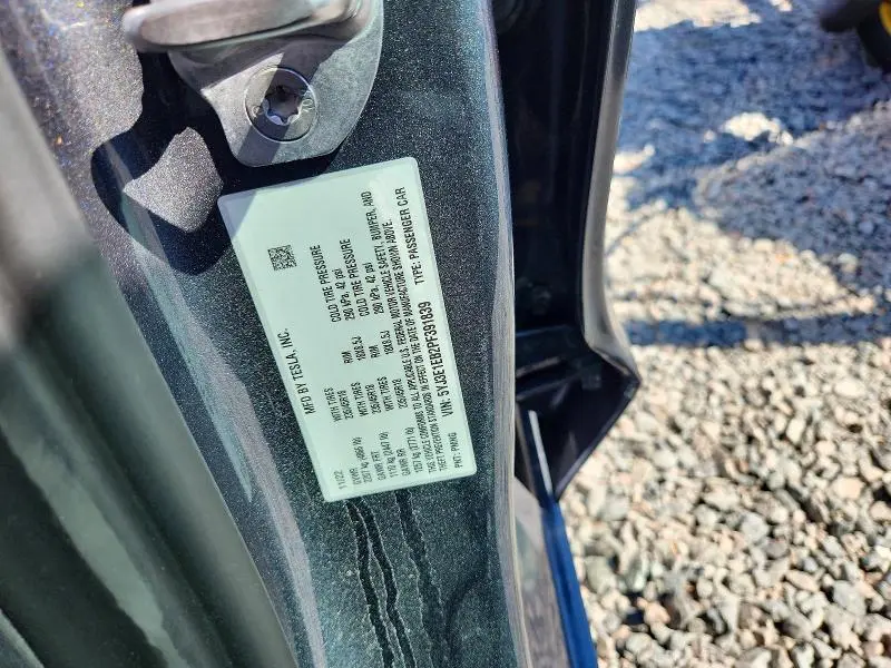 2023 TESLA MODEL 3   