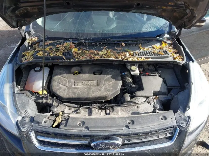 2013 FORD ESCAPE SEL