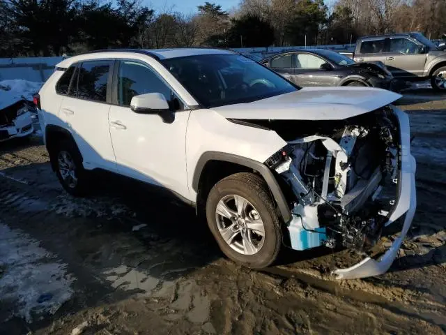 2024 TOYOTA RAV4 XLE  