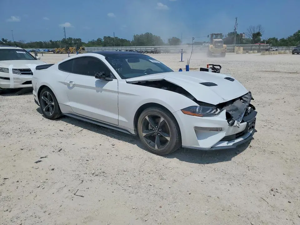 2019 FORD MUSTANG   