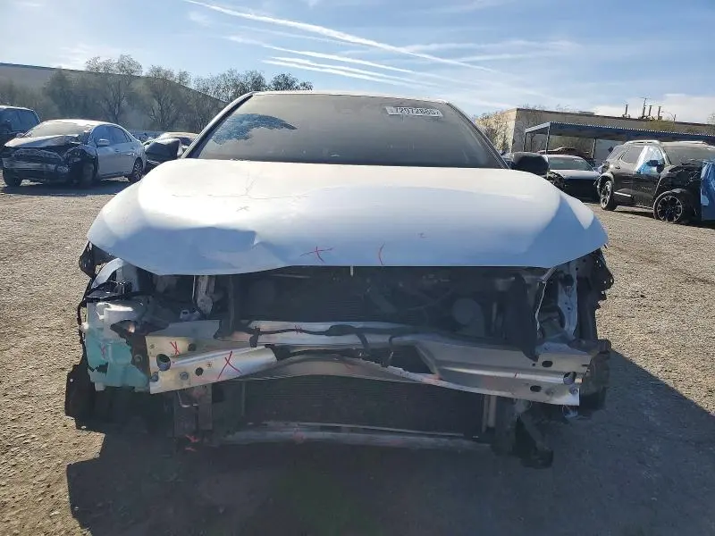 2019 TOYOTA AVALON XLE  