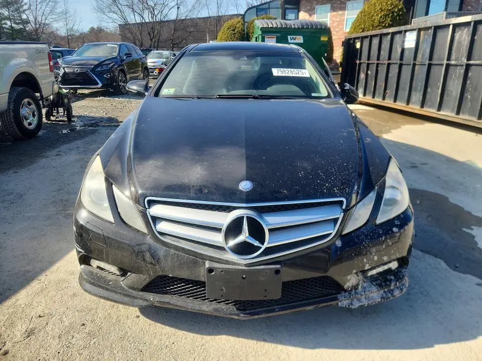 2010 MERCEDES-BENZ E 550  
