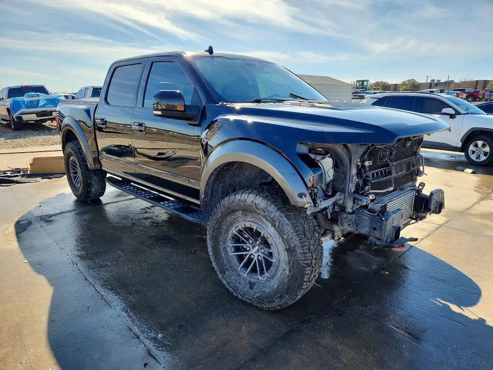 2019 FORD F150 RAPTOR  