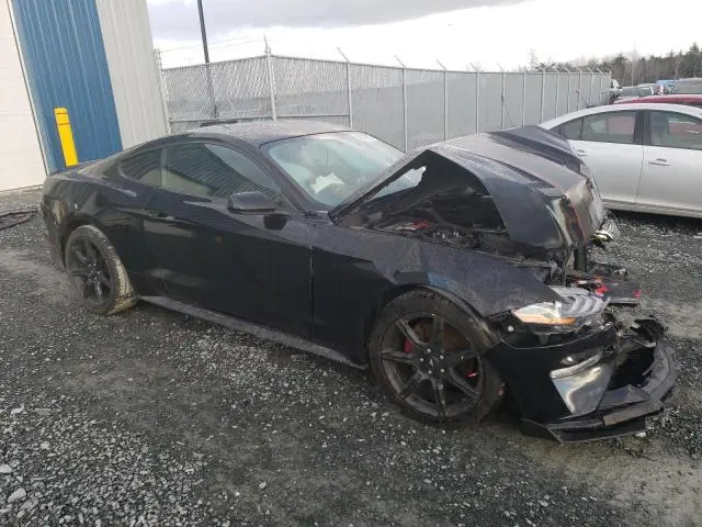 2019 FORD MUSTANG   