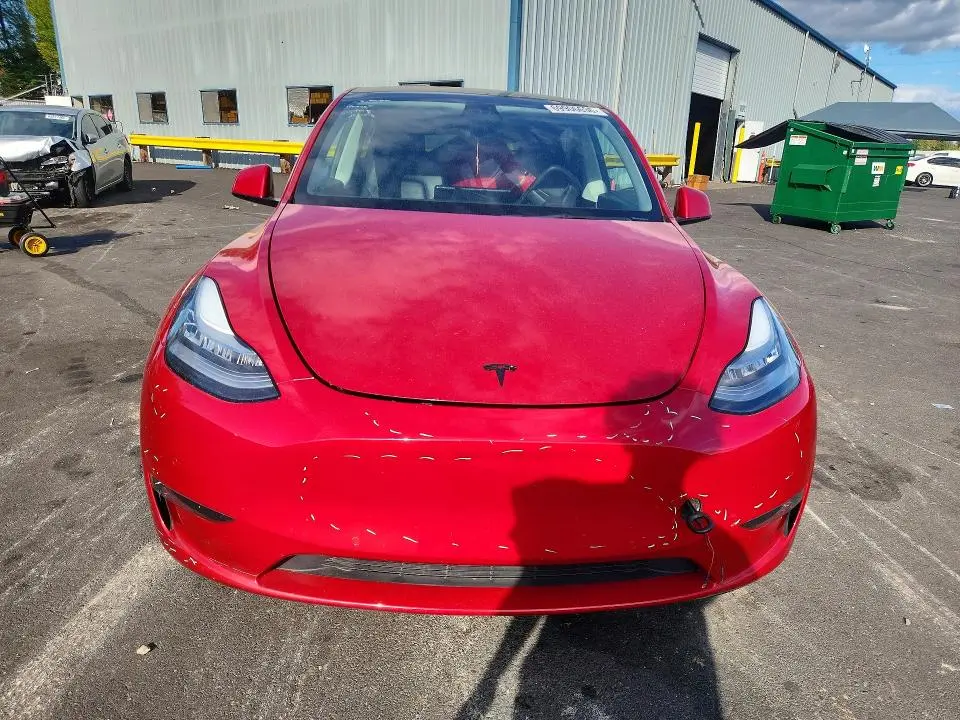 2021 TESLA MODEL Y   