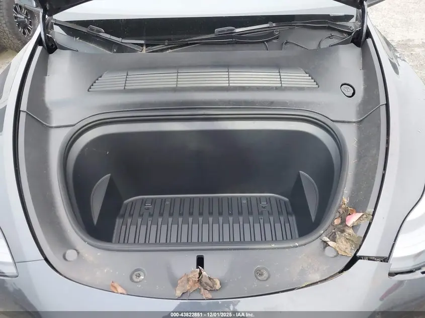 2024 TESLA MODEL Y RWD