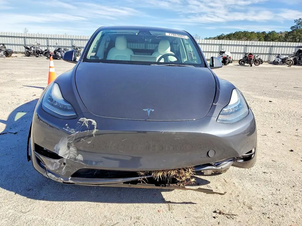 2021 TESLA MODEL Y   