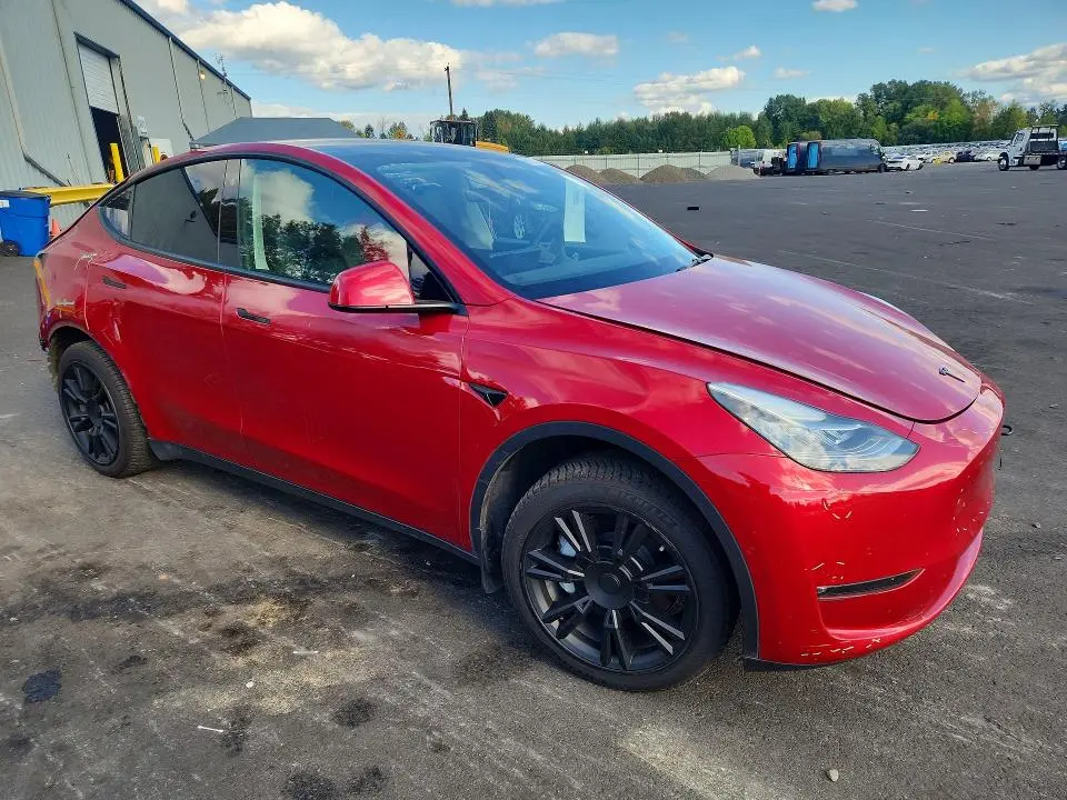 2021 TESLA MODEL Y   