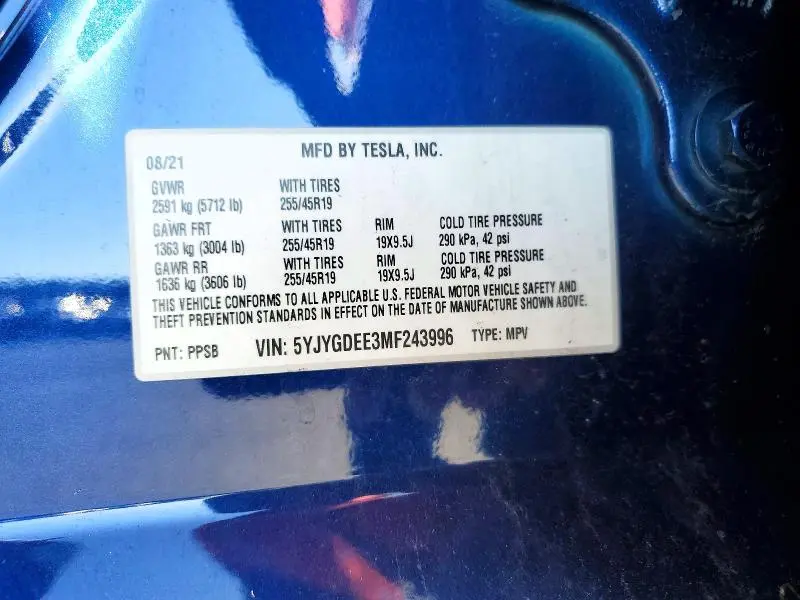 2021 TESLA MODEL Y   