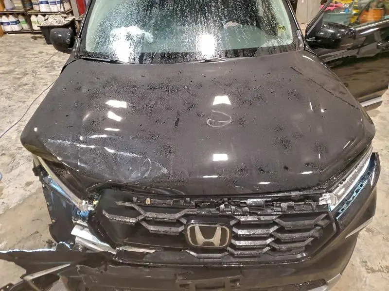 2023 HONDA PILOT EXL  