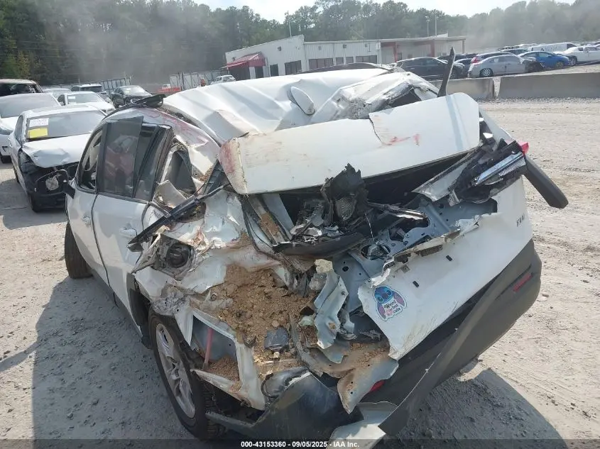 2019 TOYOTA RAV4 XLE