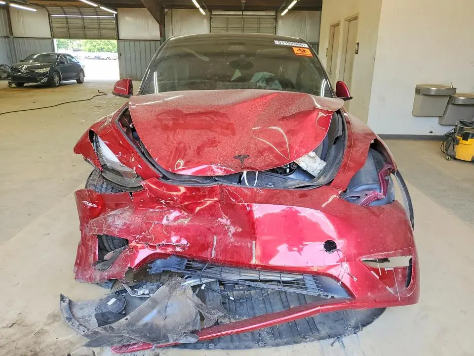 2025 TESLA MODEL Y   