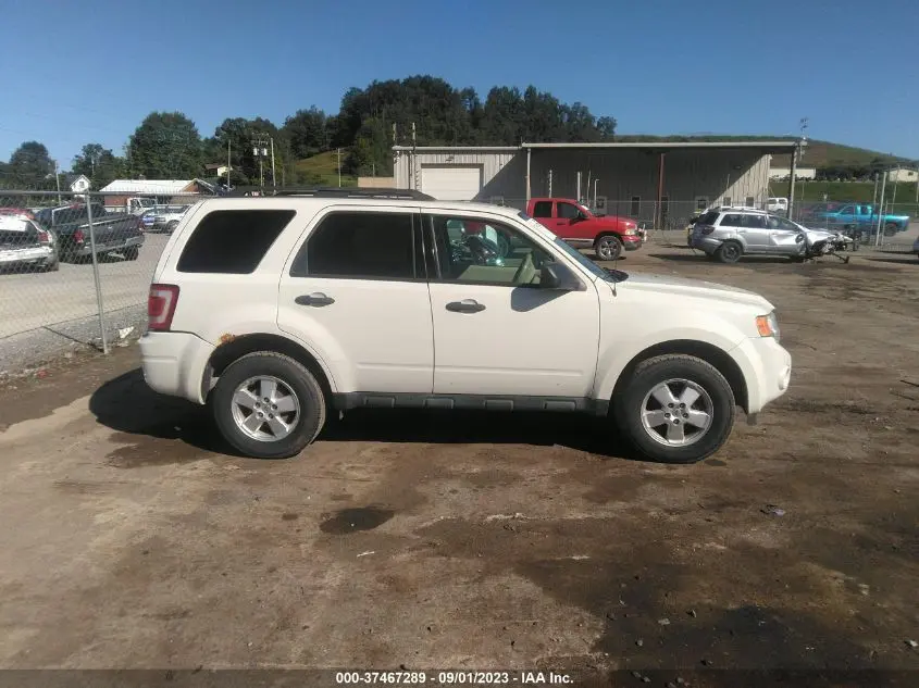 2011 FORD ESCAPE XLT