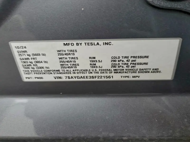 2025 TESLA MODEL Y   