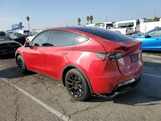 2021 TESLA MODEL Y   