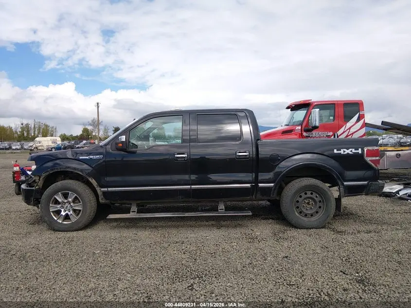 2013 FORD F-150 PLATINUM