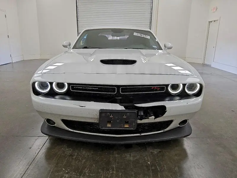 2019 DODGE CHALLENGER R/T  
