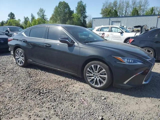 2019 LEXUS ES 300H  
