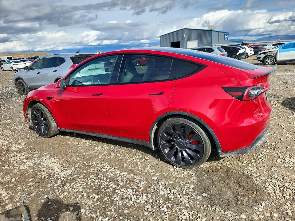 2023 TESLA MODEL Y   