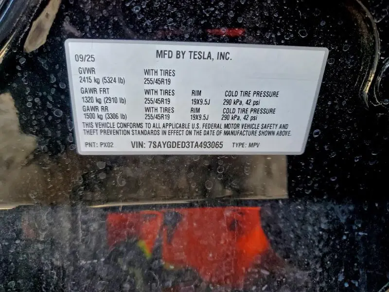 2026 TESLA MODEL Y   