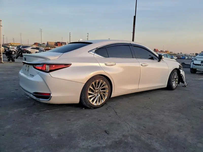 2019 LEXUS ES 300H  