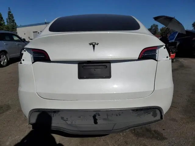 2025 TESLA MODEL Y   