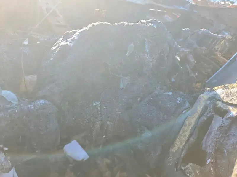 2020 CHEVROLET MALIBU RS  