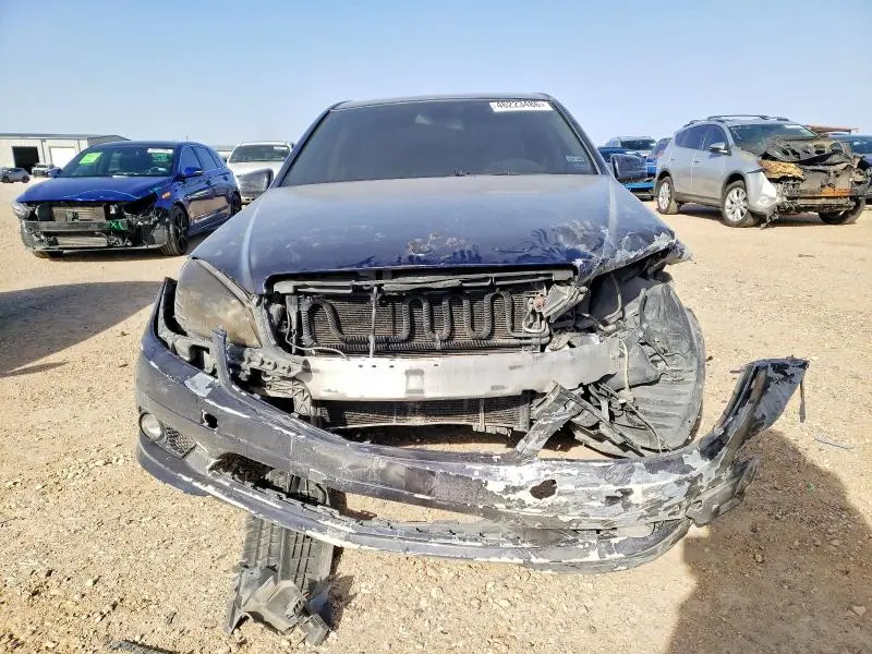 2010 MERCEDES-BENZ C 300  