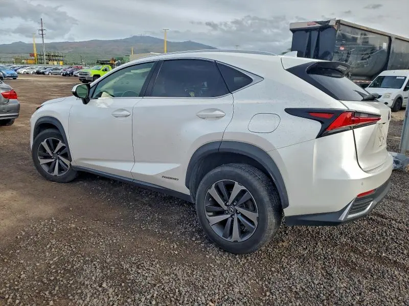 2019 LEXUS NX 300H  