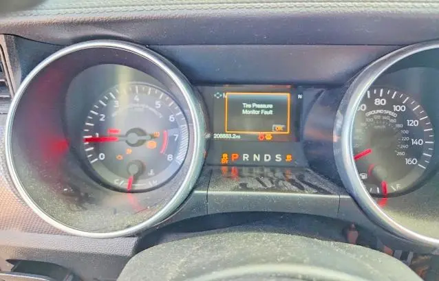 2019 FORD MUSTANG   