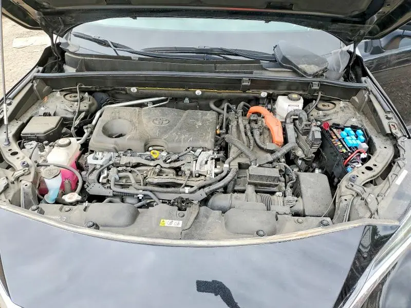 2021 TOYOTA VENZA LE  