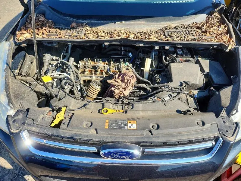 2014 FORD ESCAPE   