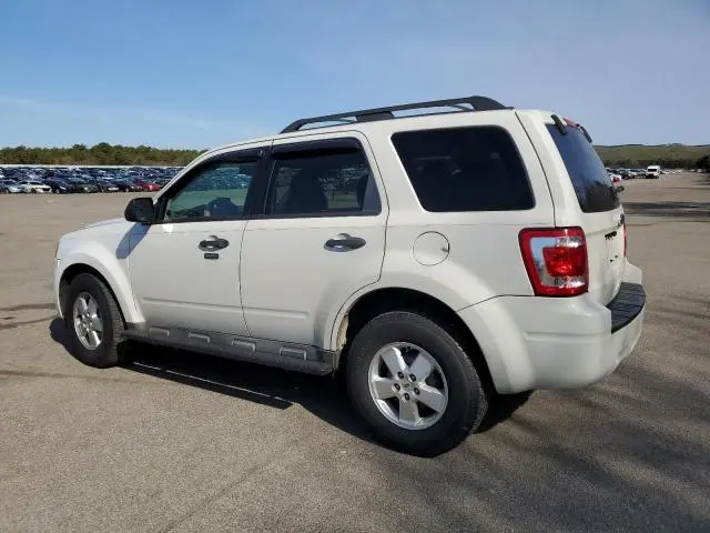 2010 FORD ESCAPE XLT  