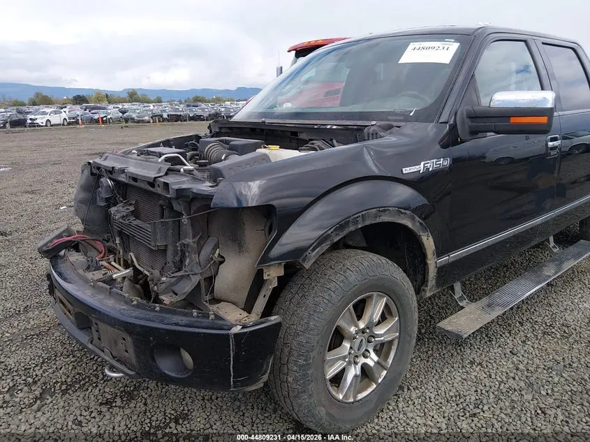 2013 FORD F-150 PLATINUM