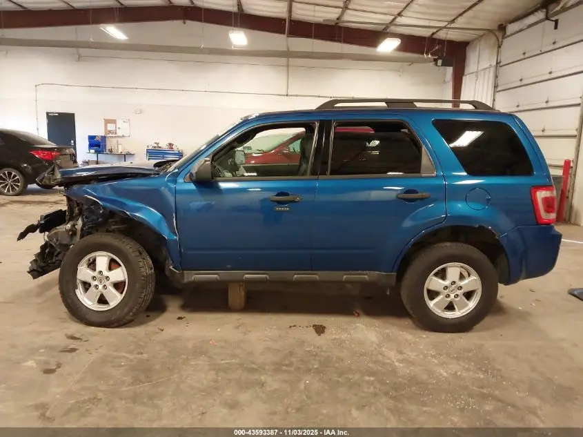 2011 FORD ESCAPE XLT