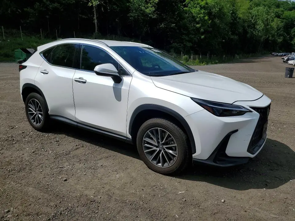 2023 LEXUS NX 250  
